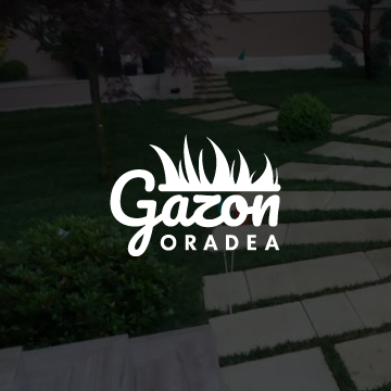 Gazon Oradea